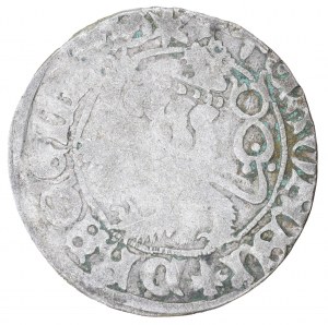 Prague penny, Ladislaus II Jagiellonian (1471-1516)