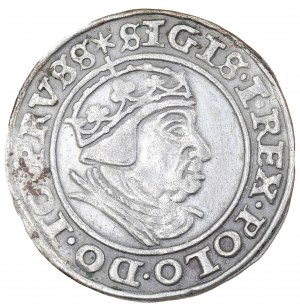 Penny di Danzica, 1540, Sigismondo I il Vecchio (1506-1548)