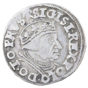 Danzig Trojak 1538, Zikmund I. Starý (1506-1548)