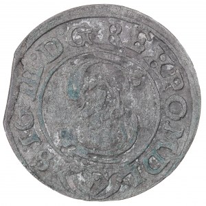 Bouclier lituanien 1627, Sigismond III Vasa (1587-1632)