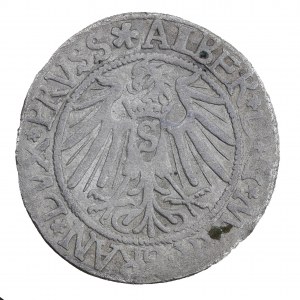 Grosz 1539, Prussia Ducale, Albrecht Hohenzollern (1525-1568)
