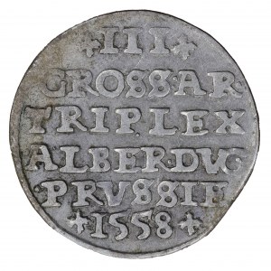 Trojak 1558 Kniežacie Prusko, Albrecht Hohenzollern (1525-1568)