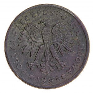 2 ZŁOTE 1981.