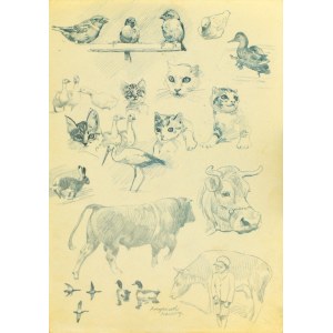 Ludwik MACIĄG (1920-2007), Sketches of Animals