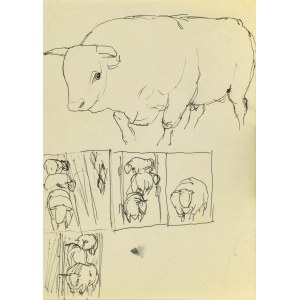 Ludwik MACIĄG (1920-2007), Stier und verschiedene Skizzen von Rindern