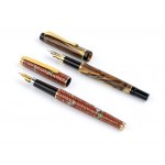 Two fountain pens