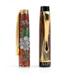 Two fountain pens
