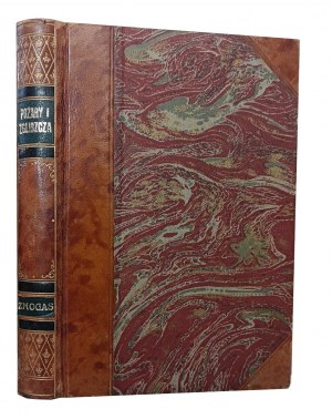 RODZIEWICZÓWNA Maria - Feuer und Schlacke 2 Bände [1. Auflage 1893].