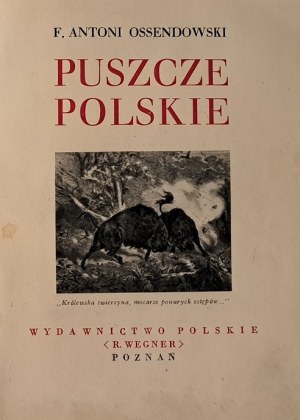[DIVY POĽSKA] OSSENDOWSKI F. Antoni - Puszcze polskie. [1936]