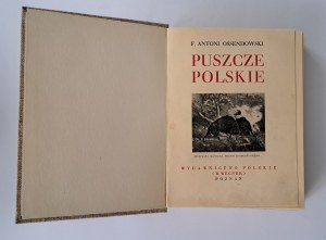 [DIVY POĽSKA] OSSENDOWSKI F. Antoni - Puszcze polskie. [1936]