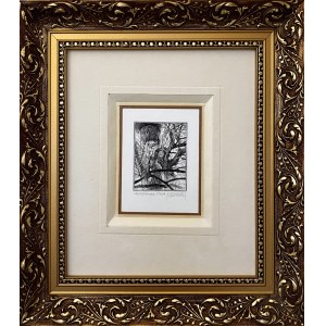 Roman ZIELIŃSKI (1952), Set of four framed prints