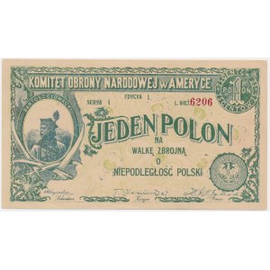 Komitet Obrony Narodowej w Ameryce, 1 polon 1914