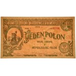 Komitet Obrony Narodowej w Ameryce, 1 polon 1914