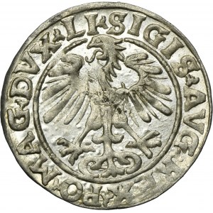 Sigismund II August, 1/2 Groschen Vilnius 1554 - RARE, LI/LITVA