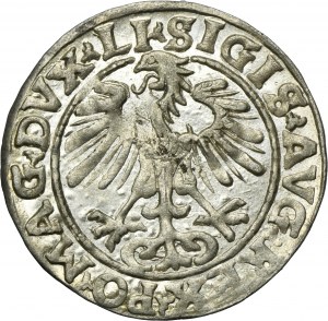 Sigismund II August, 1/2 Groschen Vilnius 1554 - RARE, LI/LITVA