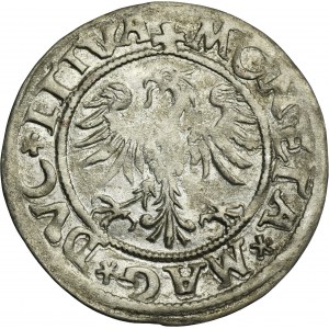 Sigismund II August, 1/2 Groschen Vilnius 1545 - RARE, L/LTIVA