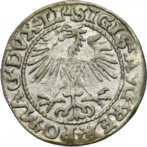 Sigismund II August, 1/2 Groschen Vilnius 1553 - LI/LITVA