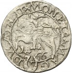 Sigismund II August, 1/2 Groschen Tykocin 1566 - RARE