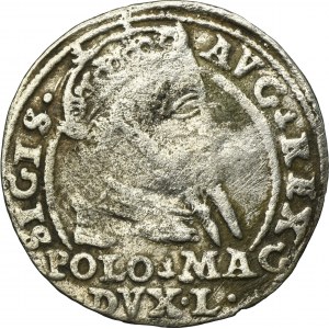 Sigismund II August, Groschen Vilnius 1567