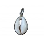 Shell pendant