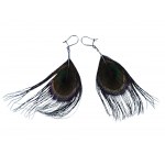 Peacock feather earrings