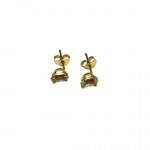 Gold earrings (18k)