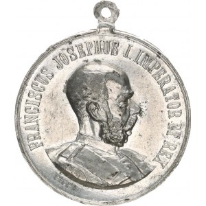 Medaile Františka Josefa I.(1848-1918), F.J.I., poprsí a opis / Národopisná výstava českoslov. v Pr