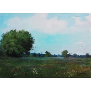 Grzegorz Olejniczak (born 1968), Green Field, 2018