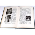 NIEWIADOMSKI - WIEDZA O SZTUCE Na tle jej dziejów wyd. 1923r.