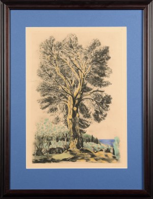 Mojżesz Kisling(1891-1953),Drzewo na Cote d'Azur,1954