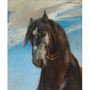 Jacek MALCZEWSKI (1854-1929), Głowa konia