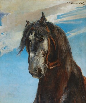 Jacek MALCZEWSKI (1854-1929), Głowa konia