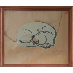 Artysta niezidentyfikowany, Kot, 1959