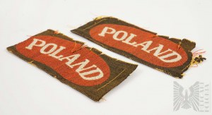 PSZnZ Pair of Poland Printed Patches