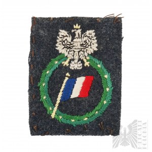 PSZnZ Distintivo volontario degli aviatori francesi