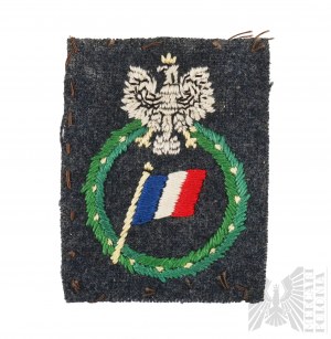 PSZnZ Distintivo volontario degli aviatori francesi