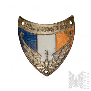 PSZnZ Insigne de Dieu et de la Patrie (France 1940 ?)