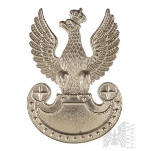 PSZnZ Fusilier Eagle Bialkiewicz
