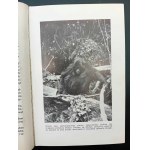 Martin Johnson Congorilla Pays des nains et des gorilles avec 32 illustrations et 1 carte