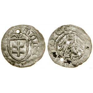 Polen, Kronprinz von Polen, (nach 1407)