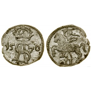 Polska, dwudenar, 1570, Wilno