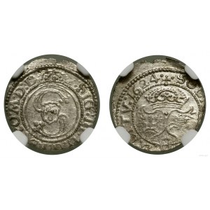 Poland, sheląg, 1624, Vilnius
