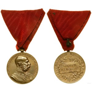 Austria, Military Commemorative Medal Signum Memoriae, 1898