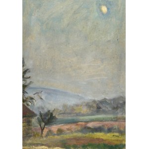 Irena WEISS - ANERI (1888-1981), Landschaft