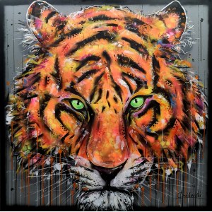 Pawel Swiderski, Tiger