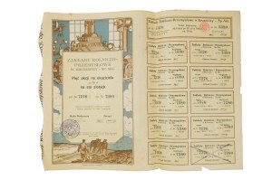 [NEKVOTOVANÁ AKCIA!] Zakłady Rolniczo-Przemysłowe w Kruszwicy Sp. Akc. 5 akcií na doručiteľa po 20 zlotých za sto zlotých, akcia so sadou kupónov, 1924, VELMI ZRADA