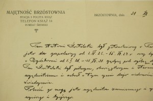 Majętność BRZÓSTOWNIA, powiat śremski, ŚWIADECTWO ZATRUDNIENIA, datowane 31.XII.1931r., [AW2]