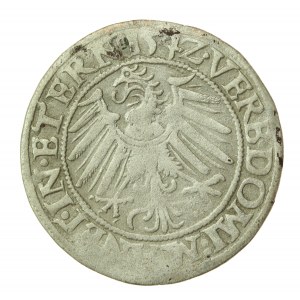 Śląsk, Księstwo Legnicko-Brzesko-Wołowskie, Fryderyk II, Grosz 1542, Legnica (831)