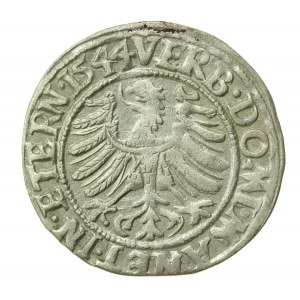 Sliezsko, Legnicko-Brzesko-Wołowo, Fridrich II, Penny 1544, Legnica (832)