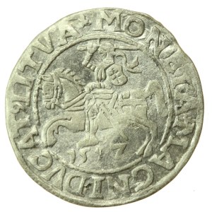 Zygmunt II August, Półgrosz 1557, Wilno - L/LITVA (840)